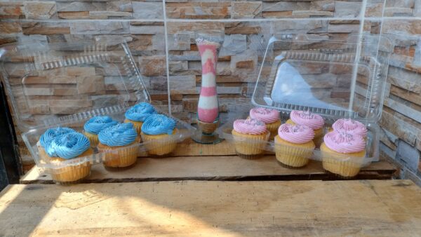 Set de cupcakes con frosting